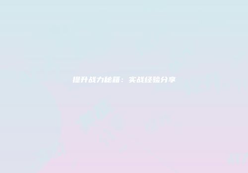 提升战力秘籍：实战经验分享