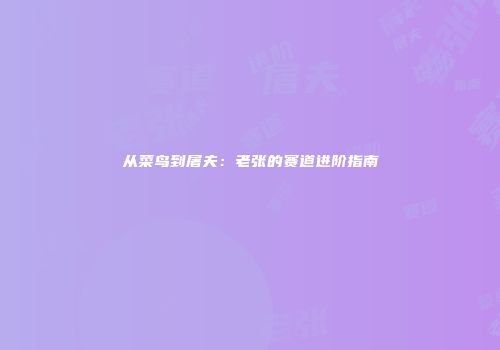 从菜鸟到屠夫：老张的赛道进阶指南