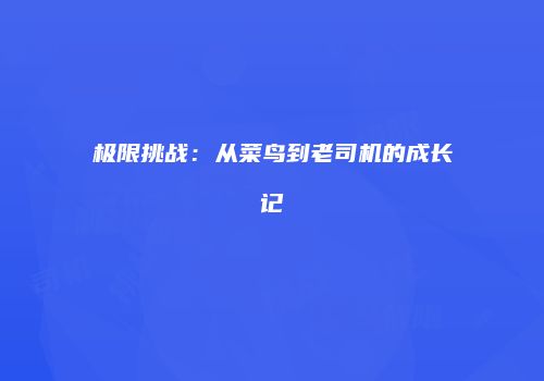 极限挑战：从菜鸟到老司机的成长记