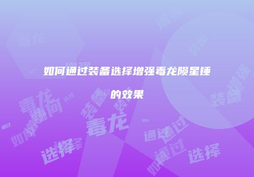 如何通过装备选择增强毒龙陨星锤的效果