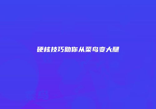 硬核技巧助你从菜鸟变大腿