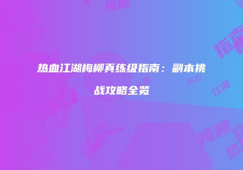 热血江湖梅柳真练级指南：副本挑战攻略全览