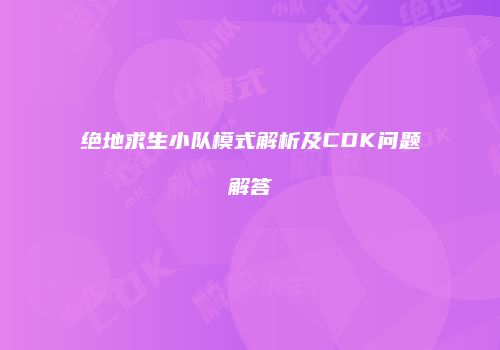 绝地求生小队模式解析及CDK问题解答