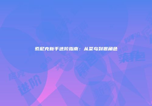 索尼克新手进阶指南：从菜鸟到狠角色