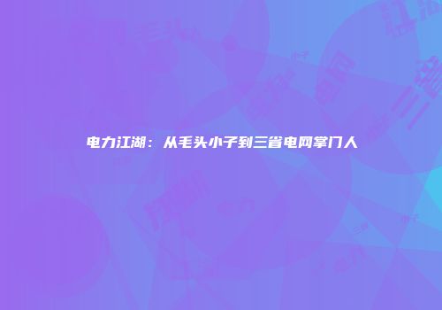 电力江湖：从毛头小子到三省电网掌门人