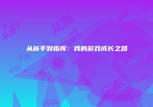 从新手到指挥：我的游戏成长之路