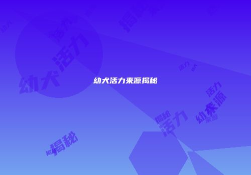 幼犬活力来源揭秘
