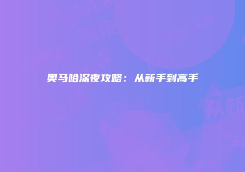 奥马哈深夜攻略：从新手到高手