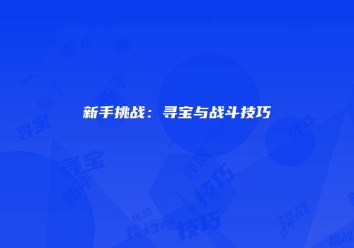 新手挑战：寻宝与战斗技巧