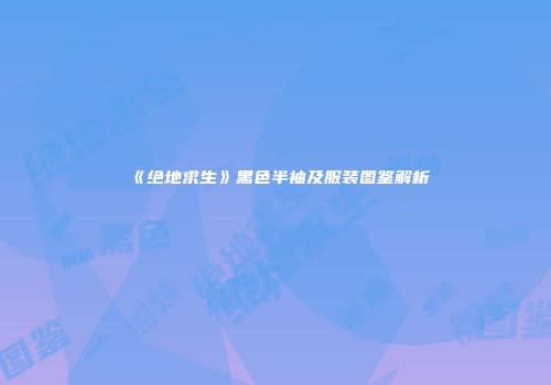 《绝地求生》黑色半袖及服装图鉴解析