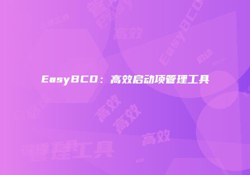 EasyBCD：高效启动项管理工具