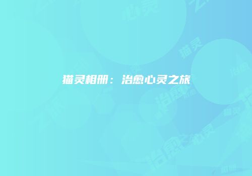 猫灵相册：治愈心灵之旅