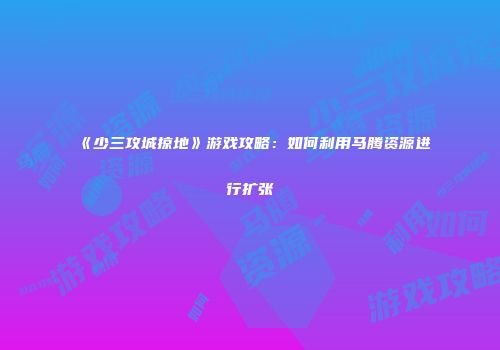 《少三攻城掠地》游戏攻略：如何利用马腾资源进行扩张