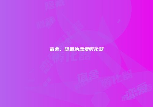 宿舍：隐藏的恋爱孵化器