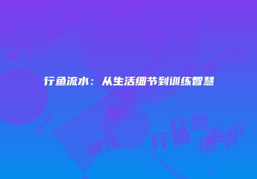 行鱼流水：从生活细节到训练智慧