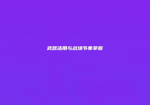 武器活用与战场节奏掌握