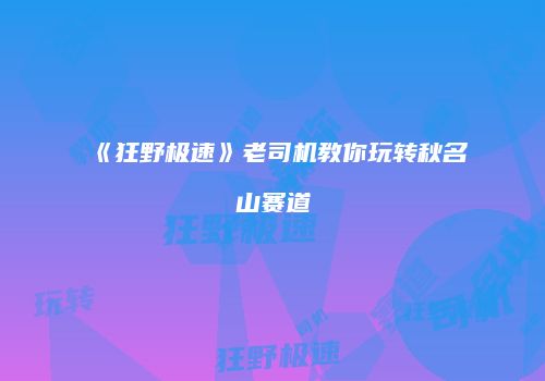 《狂野极速》老司机教你玩转秋名山赛道