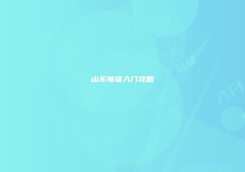 山东够级入门攻略