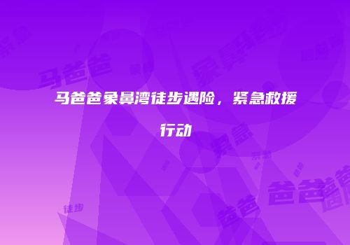 马爸爸象鼻湾徒步遇险，紧急救援行动