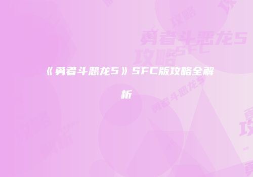 《勇者斗恶龙5》SFC版攻略全解析
