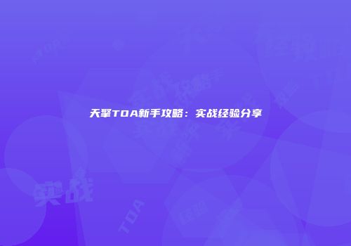 天擎TOA新手攻略：实战经验分享