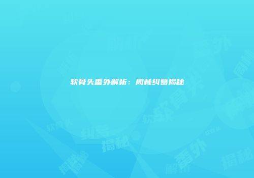软骨头番外解析：周林纠葛揭秘