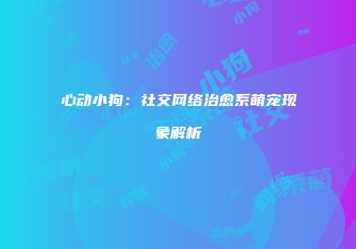 心动小狗：社交网络治愈系萌宠现象解析