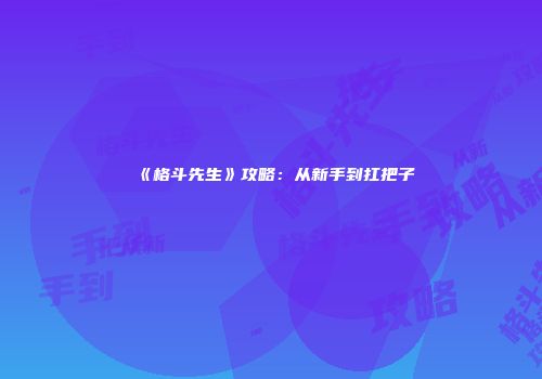 《格斗先生》攻略：从新手到扛把子