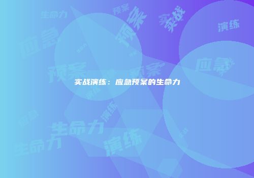 实战演练：应急预案的生命力