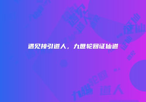 遇见接引道人，九世轮回证仙道
