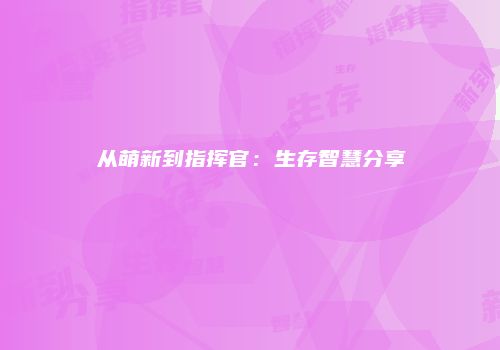 从萌新到指挥官：生存智慧分享