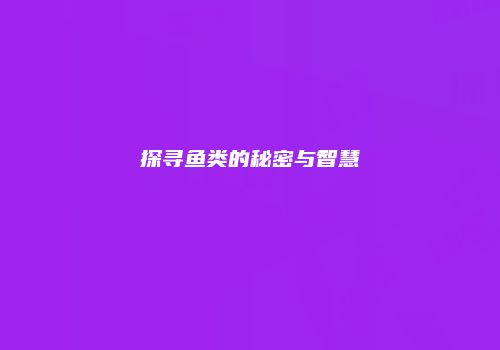 探寻鱼类的秘密与智慧