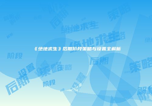 《绝地求生》后期阶段策略与设置全解析