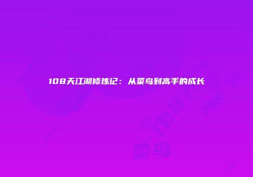 108天江湖修炼记：从菜鸟到高手的成长