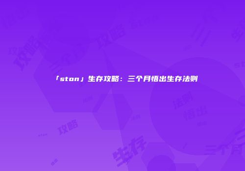 「ston」生存攻略：三个月悟出生存法则