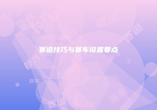 赛道技巧与赛车设置要点