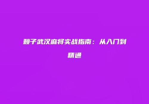 赖子武汉麻将实战指南：从入门到精通