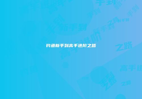 钓鱼新手到高手进阶之路