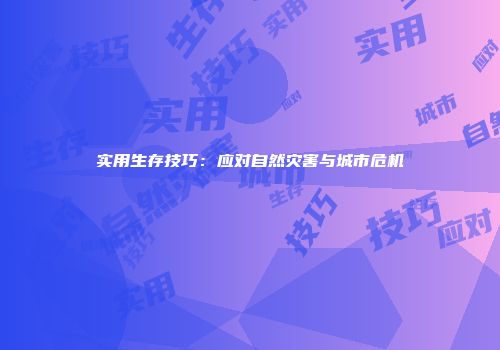 实用生存技巧：应对自然灾害与城市危机