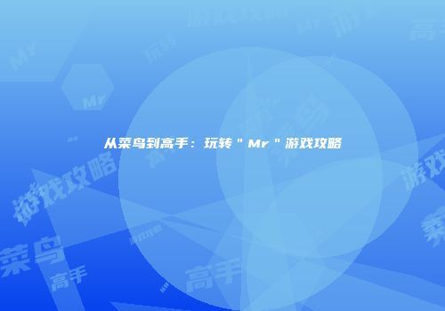 从菜鸟到高手：玩转＂Mr＂游戏攻略