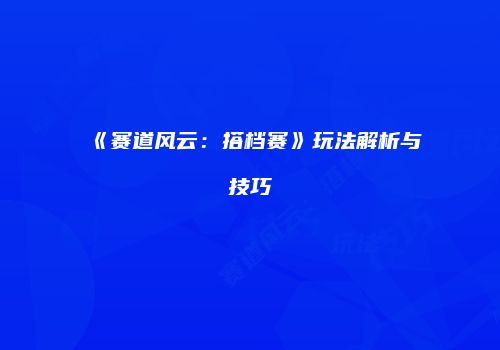 《赛道风云：搭档赛》玩法解析与技巧