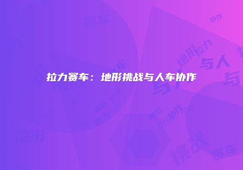 拉力赛车：地形挑战与人车协作