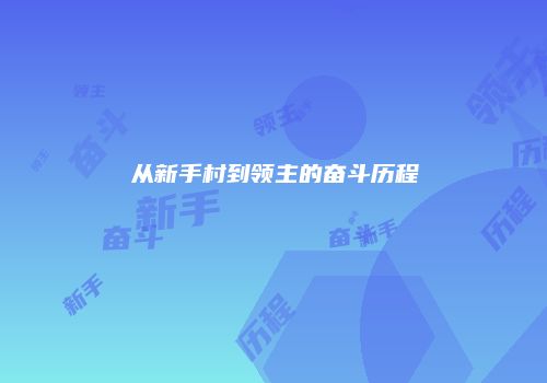 从新手村到领主的奋斗历程