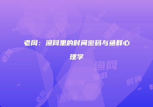 老周：渔网里的时间密码与鱼群心理学