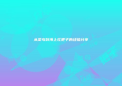 从菜鸟到海上扛把子的经验分享