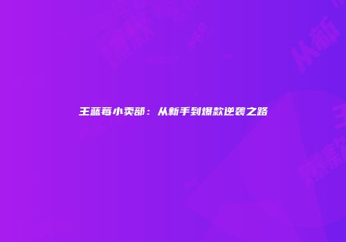 王蓝莓小卖部：从新手到爆款逆袭之路