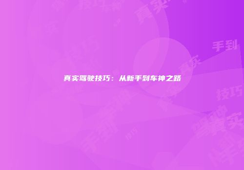 真实驾驶技巧：从新手到车神之路