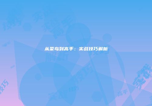 从菜鸟到高手：实战技巧解析