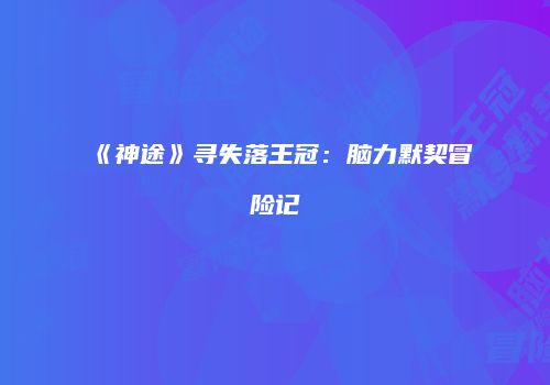 《神途》寻失落王冠：脑力默契冒险记