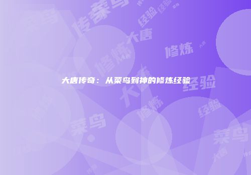 大唐传奇：从菜鸟到神的修炼经验